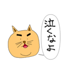 のりまゆげねこ（個別スタンプ：35）