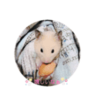 キンクマどんべぇ2（個別スタンプ：1）