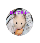 キンクマどんべぇ2（個別スタンプ：4）