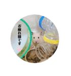 キンクマどんべぇ2（個別スタンプ：6）