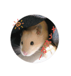 キンクマどんべぇ2（個別スタンプ：18）