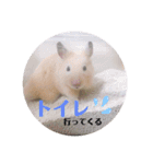 キンクマどんべぇ2（個別スタンプ：22）