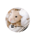キンクマどんべぇ2（個別スタンプ：23）