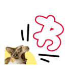 みけねこの小町 vol.2 ワガママ編（個別スタンプ：16）