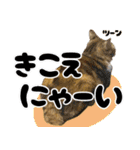みけねこの小町 vol.2 ワガママ編（個別スタンプ：18）
