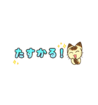 【省スペース敬語】にらみねこしぃちゃん4（個別スタンプ：16）