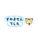 【省スペース敬語】にらみねこしぃちゃん4（個別スタンプ：24）