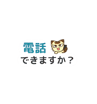 【省スペース敬語】にらみねこしぃちゃん4（個別スタンプ：39）
