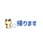 【省スペース敬語】にらみねこしぃちゃん4（個別スタンプ：40）