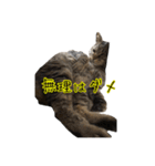 リアルなチャッピーと仲間たち（個別スタンプ：29）