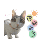 姫＆三獣士☆すたんぷ（個別スタンプ：1）