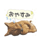 姫＆三獣士☆すたんぷ（個別スタンプ：3）