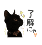 姫＆三獣士☆すたんぷ（個別スタンプ：8）