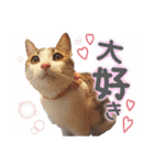 姫＆三獣士☆すたんぷ（個別スタンプ：18）