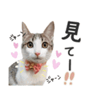 姫＆三獣士☆すたんぷ（個別スタンプ：21）