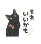 姫＆三獣士☆すたんぷ（個別スタンプ：24）