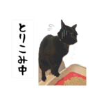 姫＆三獣士☆すたんぷ（個別スタンプ：26）