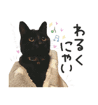 姫＆三獣士☆すたんぷ（個別スタンプ：30）