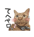 姫＆三獣士☆すたんぷ（個別スタンプ：31）