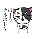 猫だなぁ（個別スタンプ：24）