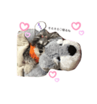今日の❤️ワンコ4（個別スタンプ：8）