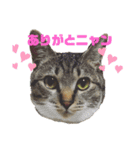さくらときなこ 2（個別スタンプ：2）