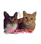 さくらときなこ 2（個別スタンプ：8）