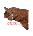 さくらときなこ 2（個別スタンプ：12）