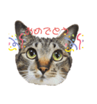 さくらときなこ 2（個別スタンプ：13）
