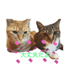 さくらときなこ 2（個別スタンプ：16）