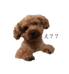 coco＆tini vol.2（個別スタンプ：7）
