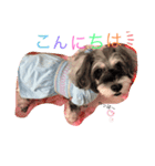 日常♡ご挨拶（個別スタンプ：2）