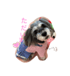 日常♡ご挨拶（個別スタンプ：6）