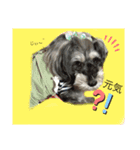 日常♡ご挨拶（個別スタンプ：7）