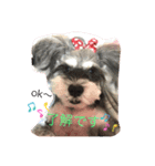 日常♡ご挨拶（個別スタンプ：8）