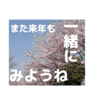 感謝、想い、未来（個別スタンプ：11）