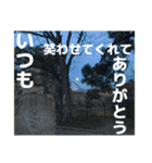 感謝、想い、未来（個別スタンプ：12）