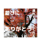 感謝、想い、未来（個別スタンプ：14）