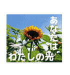 感謝、想い、未来（個別スタンプ：18）