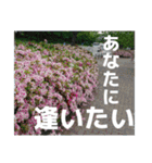 感謝、想い、未来（個別スタンプ：22）