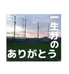 感謝、想い、未来（個別スタンプ：28）