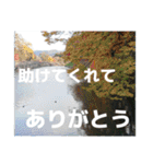 感謝、想い、未来（個別スタンプ：30）