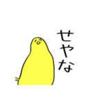 11期スタンプ（個別スタンプ：5）