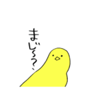 11期スタンプ（個別スタンプ：22）