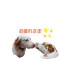 かるかるとセターズ（個別スタンプ：32）