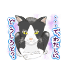 ゆるっとツンデレ ～ネコ科編～（個別スタンプ：1）
