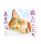 ゆるっとツンデレ ～ネコ科編～（個別スタンプ：3）