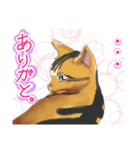 ゆるっとツンデレ ～ネコ科編～（個別スタンプ：11）