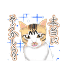 ゆるっとツンデレ ～ネコ科編～（個別スタンプ：12）