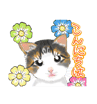 ゆるっとツンデレ ～ネコ科編～（個別スタンプ：13）